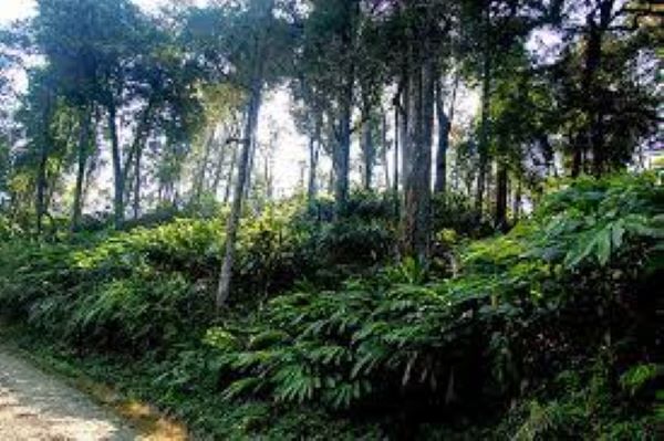 Kinh nghiệm du lịch Y Tý