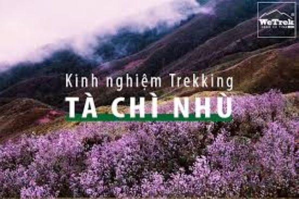 Kinh nghiệm leo đỉnh Tà Chì Nhù