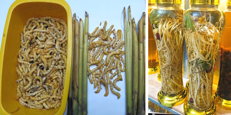 Bạn biết gì về rượu sâu chít