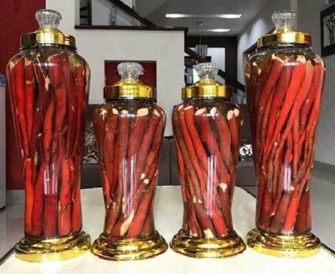 Rượu bổ thận tráng dương và những lưu ý khi sử dụng