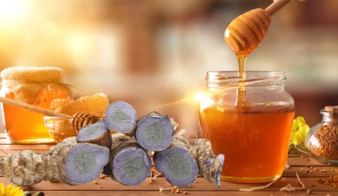 Nghệ đen mật ong chữa dạ dày