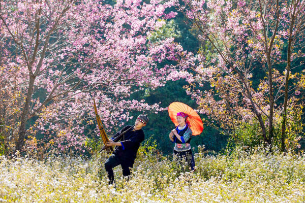 Trải nghiệm mùa xuân Tây Bắc. Mùa xuân là khoảng thời gian tuyệt vời để khám phá vẻ đẹp thiên nhiên và văn hóa của miền Tây Bắc.