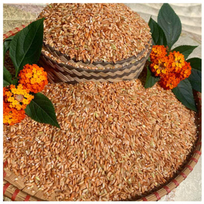 Gạo lứt đỏ Điện Biên