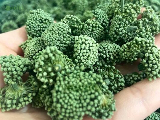 Lợi ích bất ngờ từ nụ hoa tam thất