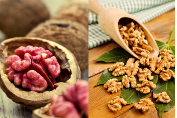 Óc chó đỏ và óc chó vàng - loại nào tốt hơn?