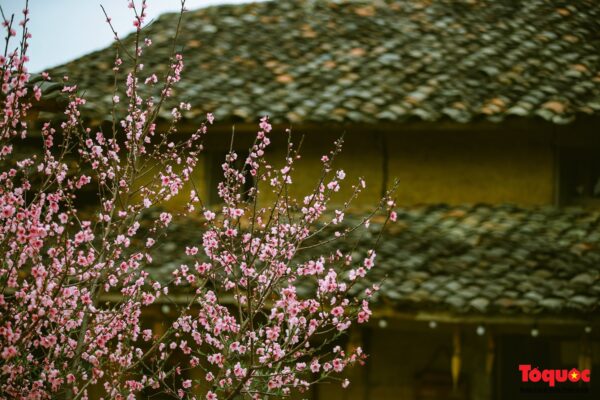 Khám phá Lô Lô Chải - Bản làng cổ tích nơi địa đầu tổ quốc