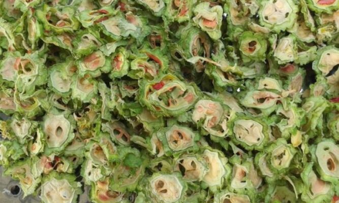 Mướp đắng giúp kiểm soát đường huyết có đúng không