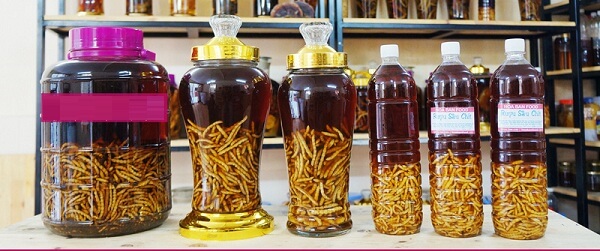 Cách ngâm rượu sâu chít khô ai cũng làm được