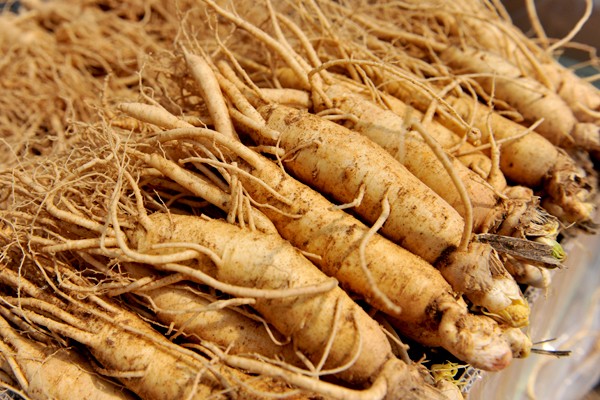 Các thảo dược tốt cho người cao tuổi