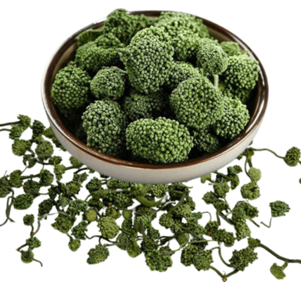 Những ai không nên dùng nụ hoa tam thất