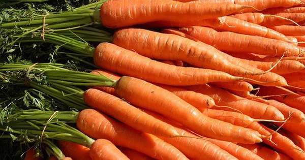 Các loại rau giúp thải độc đốt cháy mỡ bụng