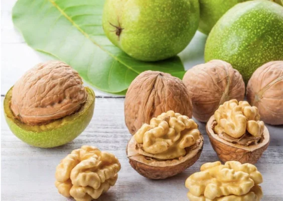 Lợi ích của quả óc chó với trẻ em