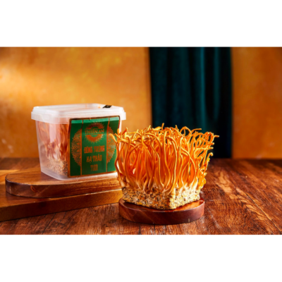 Cách dùng đông trùng hạ thảo tươi để tăng cường sức khỏe