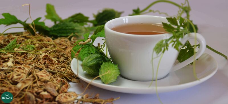Khả năng trị bệnh của quả khổ qua rừng