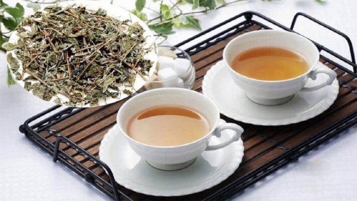 Có nên uống lá xạ đen hàng ngày