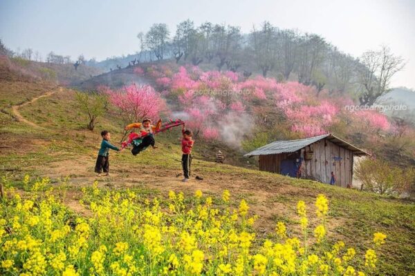Y Tý ở đâu và đường đến Y Tý như thế nào