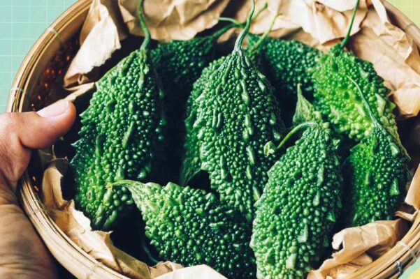 Mướp đắng và trà xanh giảm mỡ bụng như thế nào?