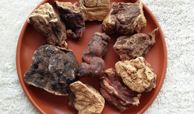 Lưu ý khi sử dụng hà thủ ô - Cách thức và những điều cần biết