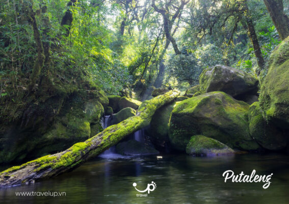 Kinh nghiệm trekking Putaleng - Hành trình chinh phục