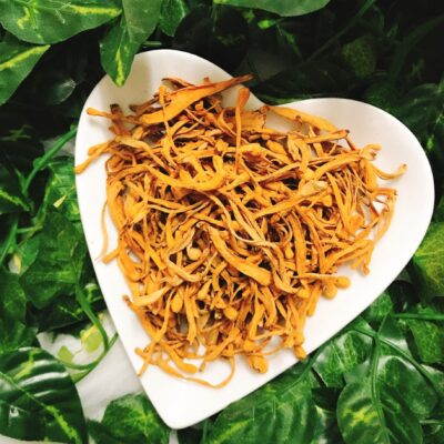 Lợi ích của đông trùng hạ thảo là gì