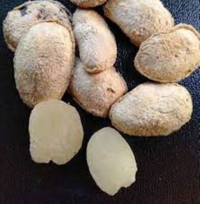 Hạt Sang có tác dụng gì?