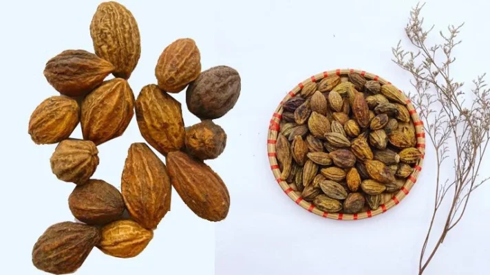 Cách sử dụng quả kha tử trị ho tại nhà