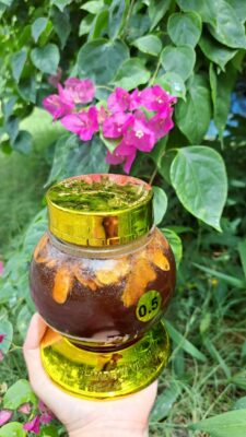 Tam thất ngâm mật ong