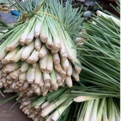 Tác dụng của củ Sả