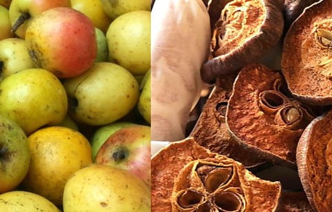 Các loại táo mèo