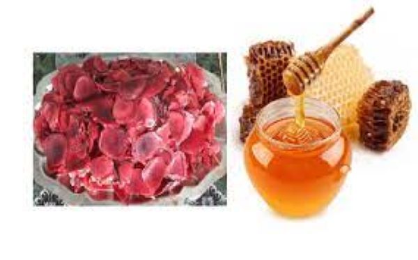 Cách sử dụng Nhung hươu để tăng cân