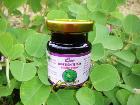 Lợi ích của kim tiền thảo với sức khỏe