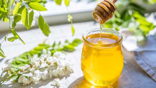 Công dụng của mật ong bạc hà