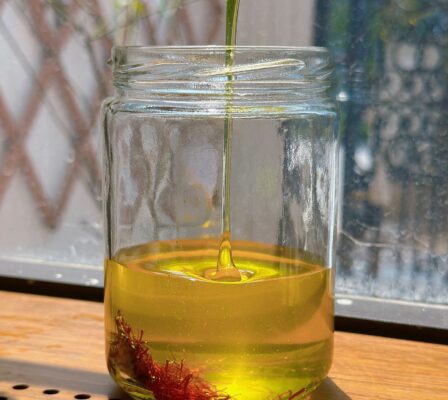 Giá mật ong Bạc hà