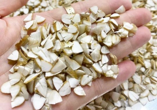 Tác dụng của hạt Sang