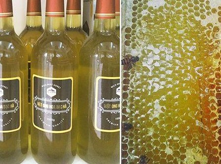 3 cách để biết mật ong Bạc hà chuẩn