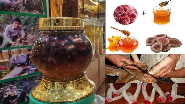 Người không nên sử dụng Nhung hươu ngâm mật ong