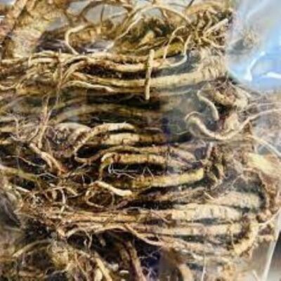 Cách nấu nước sâm đương quy