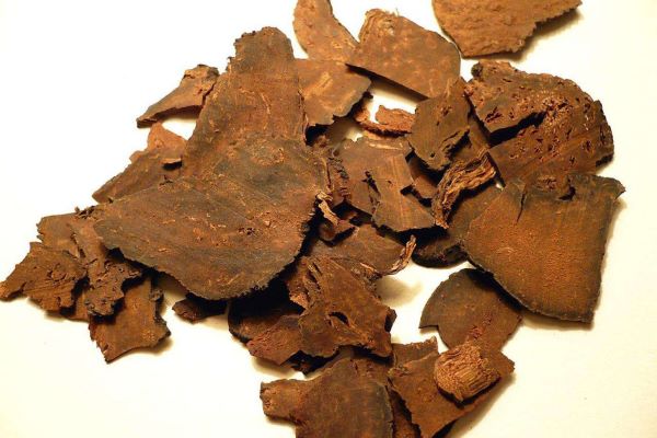 Tác dụng của Hà thủ ô đỏ