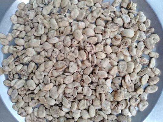 Thông tin chung về hạt Sang