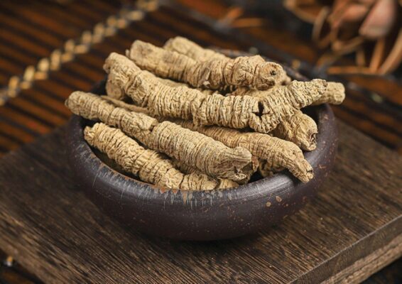 Thực hư về ba kích giúp bổ thận tráng dương