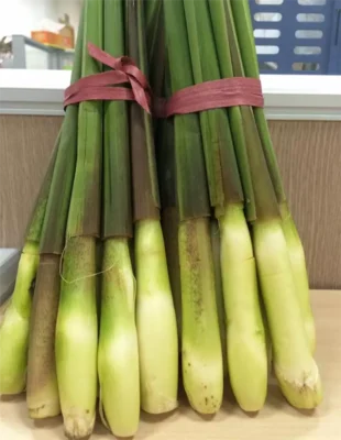 Lợi ích của của Sả