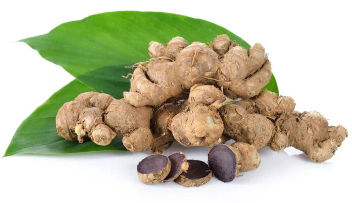 Công dụng của gừng đen