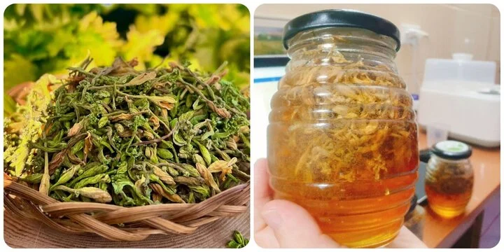 Hoa đu đủ tươi ngâm mật ong và công dụng