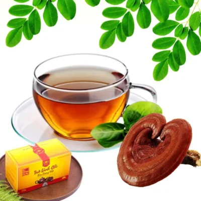 Uống nấm linh chi vào lúc nào là tốt nhất