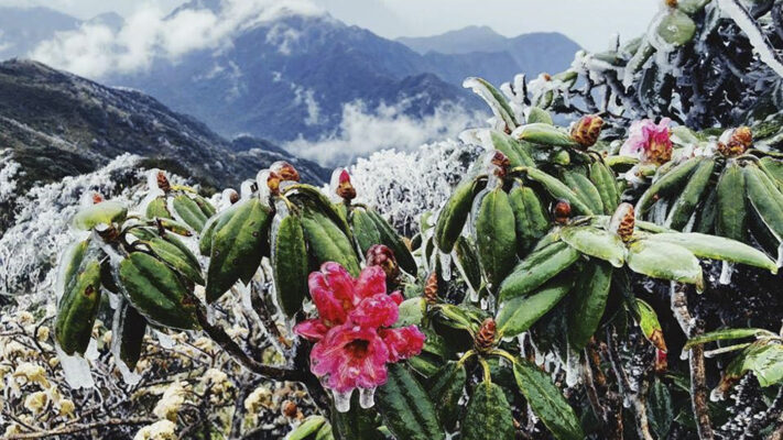 Putaleng tháng 3 có gì hấp dẫn?