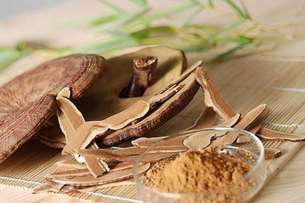 Phụ nữ sau sinh uống nấm linh chi được không?