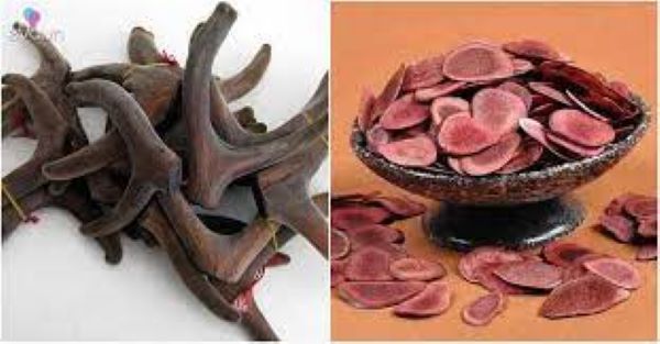 Cách sử dụng nhung hươu để cải thiện sức khỏe và sắc đẹp