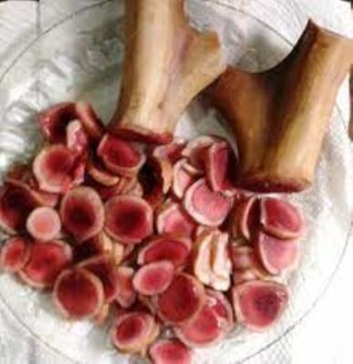 Nhung hươu có tác dụng chữa bệnh gì? Nhung hươu có tác dụng chữa bệnh gì?