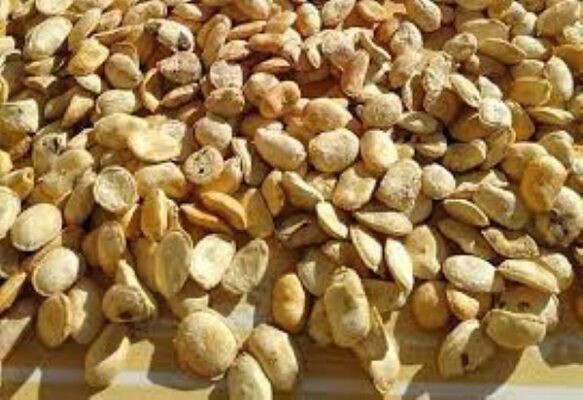Hạt Sang có tác dụng gì?