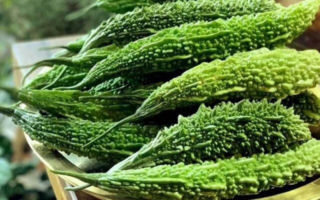 Tác dụng không ngờ từ quả khổ qua rừng với làn da